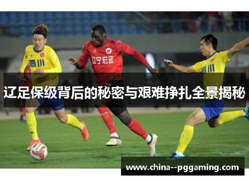 辽足保级背后的秘密与艰难挣扎全景揭秘