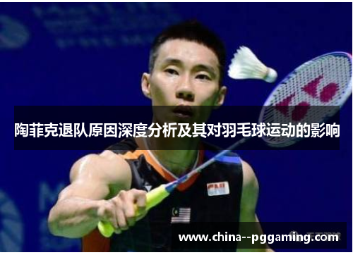 陶菲克退队原因深度分析及其对羽毛球运动的影响