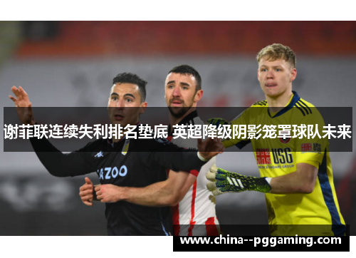 谢菲联连续失利排名垫底 英超降级阴影笼罩球队未来