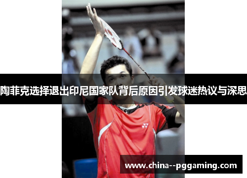 陶菲克选择退出印尼国家队背后原因引发球迷热议与深思