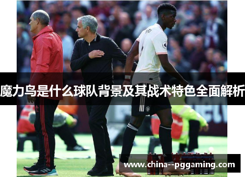 魔力鸟是什么球队背景及其战术特色全面解析