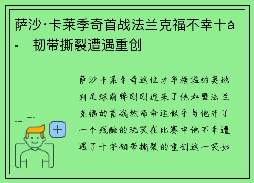萨沙·卡莱季奇首战法兰克福不幸十字韧带撕裂遭遇重创