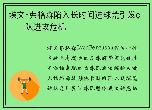 埃文·弗格森陷入长时间进球荒引发球队进攻危机